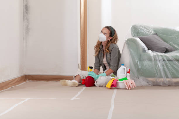 Trusted Mold Testing service in Lexington, MI - WQB Mold Removal